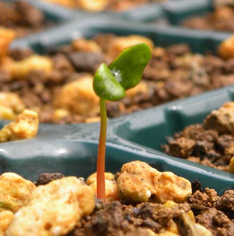 ���̉�A�͂��߂̈���B���[���́A�������N���b�N�I