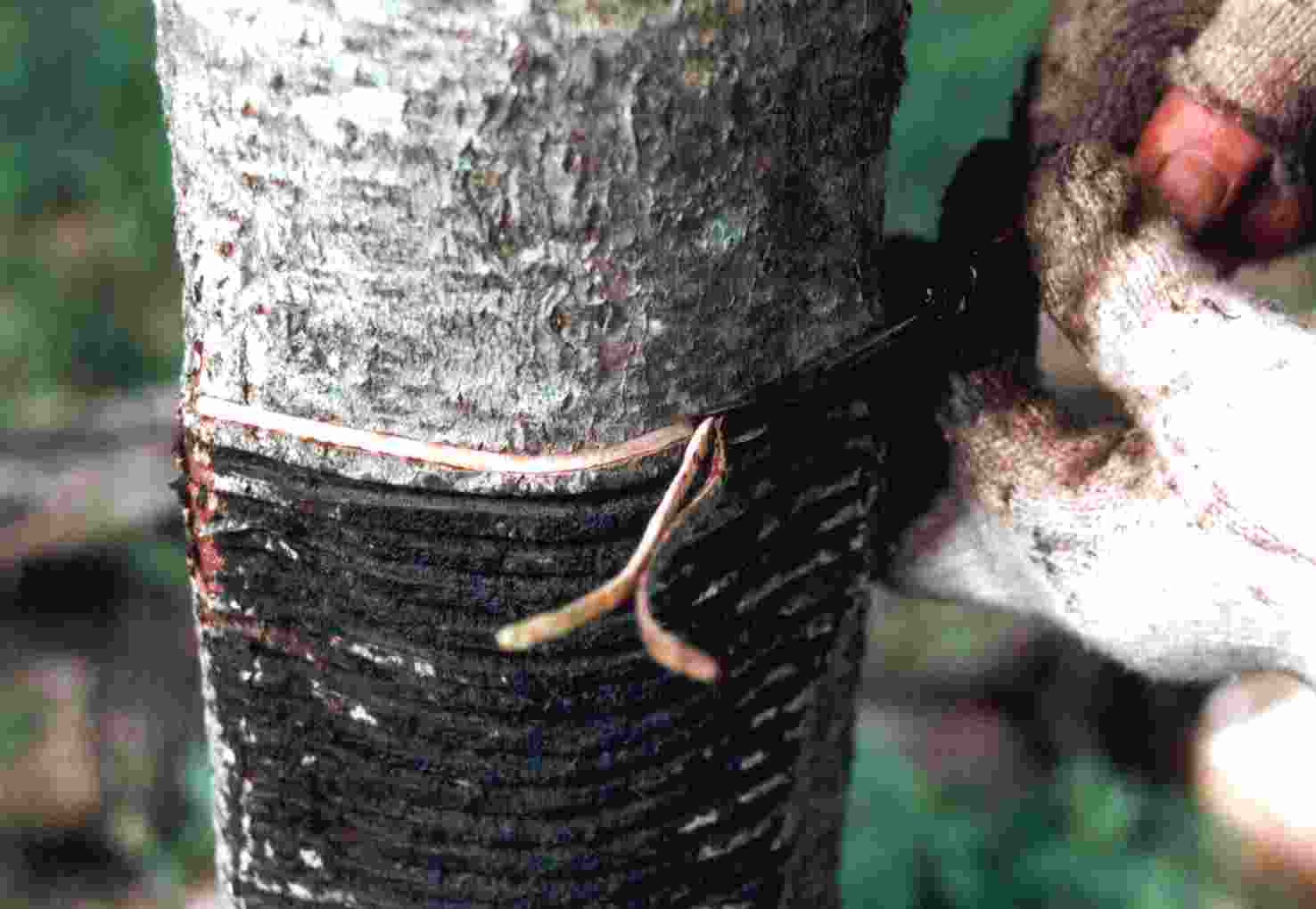 ���~���P