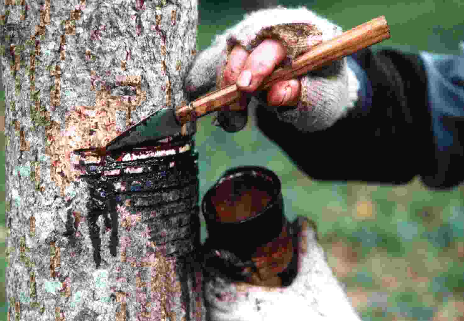 ���~���Q